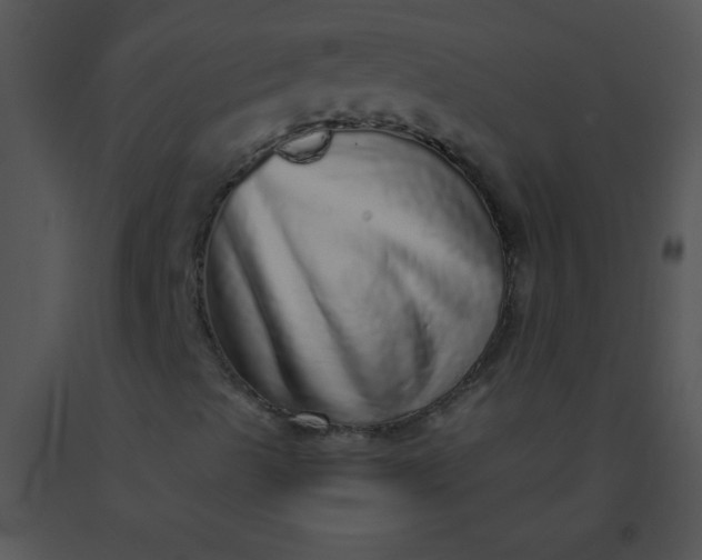 X0000091561489200708311404