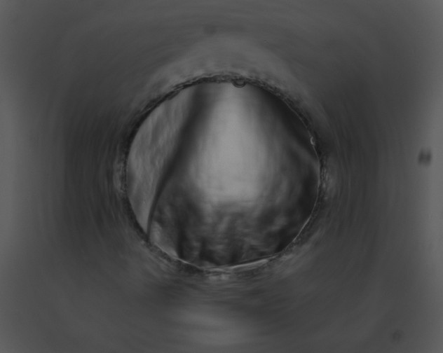 X0000091561490200708311404