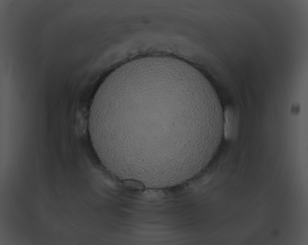 X0000091561491200708311404