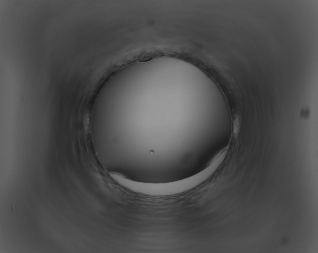 X0000091561492200708311404