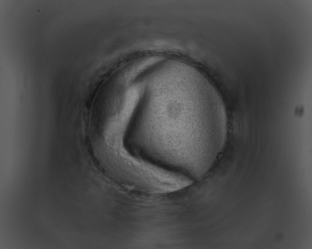 X0000091561493200708311404