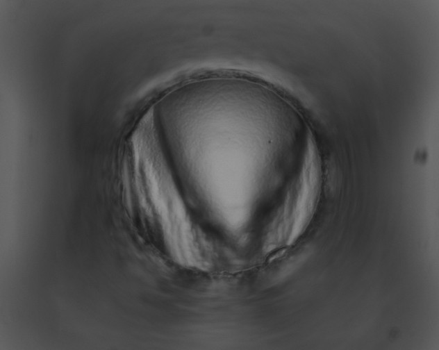 X0000091561494200708311404