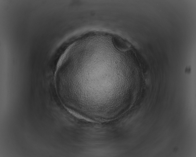 X0000091561495200708311404