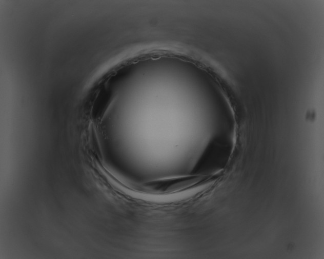 X0000091561496200708311404