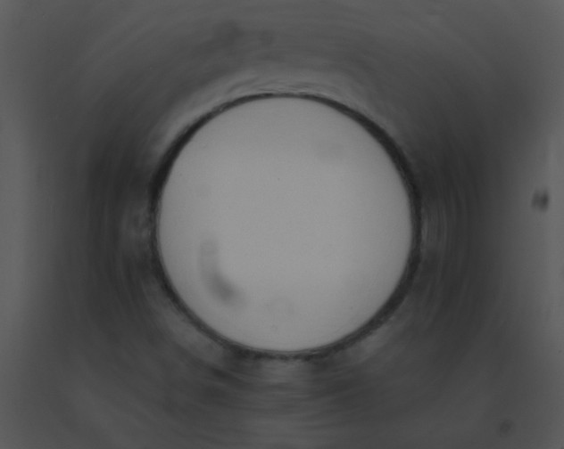 X0000091561498200708311404