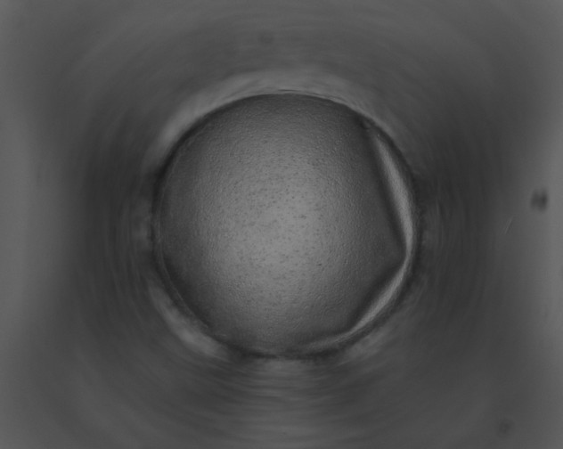 X0000091561499200708311404