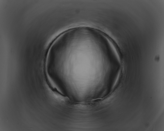 X0000091561500200708311404