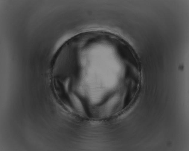 X0000091561501200708311404