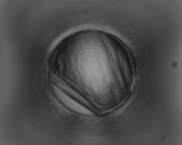 X0000091561502200708311404