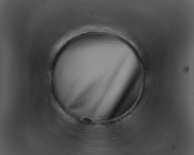 X0000091561503200708311404