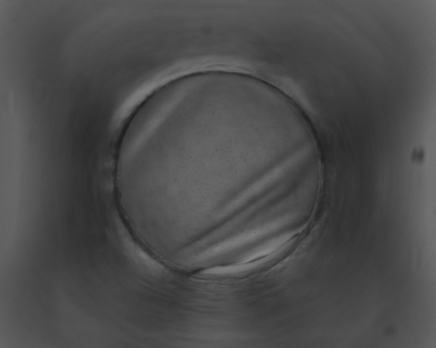 X0000091561504200708311404