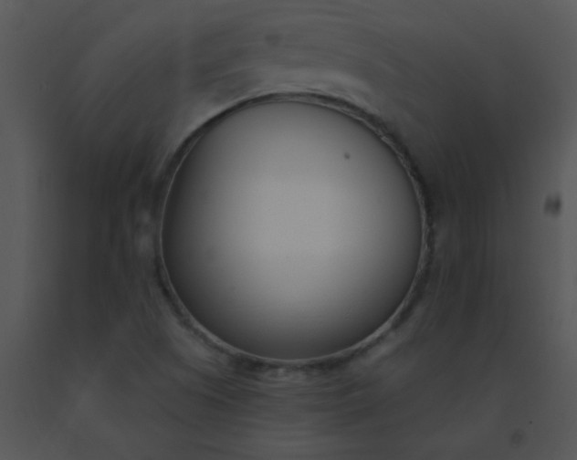 X0000091561505200708311404