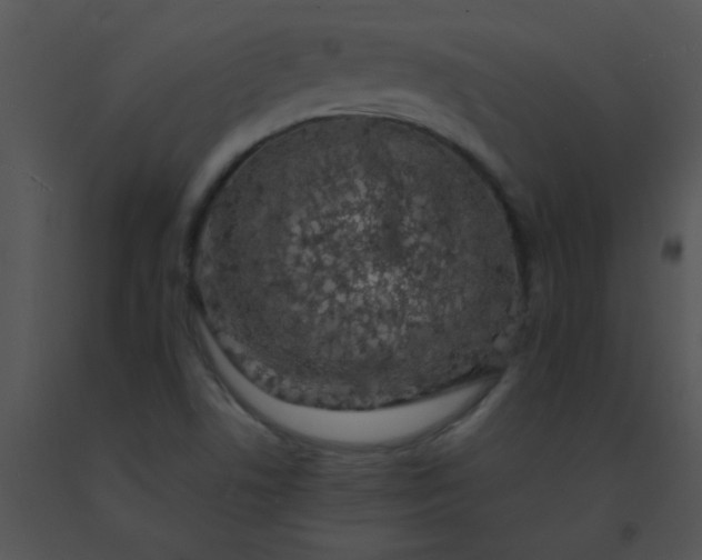 X0000091561506200708311404