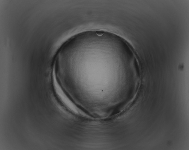 X0000091561507200708311404