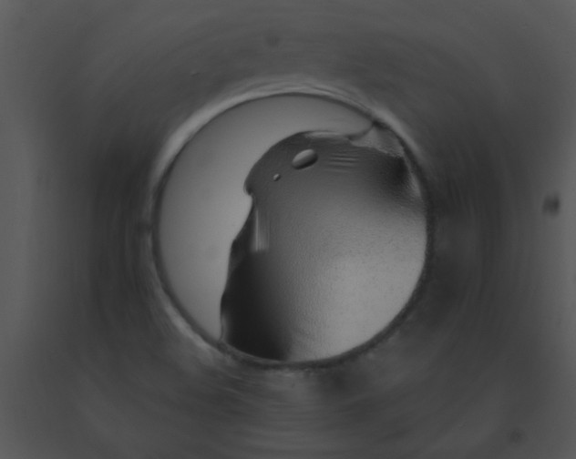 X0000091561508200708311404