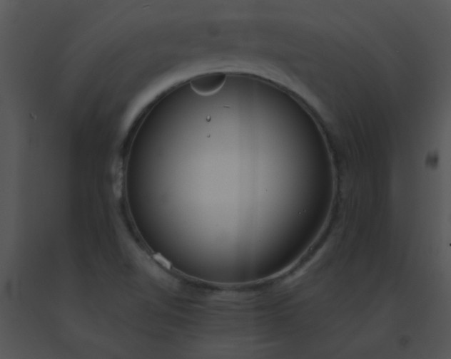 X0000091561510200708311404