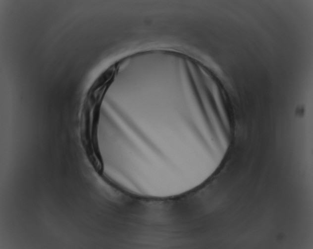 X0000091561512200708311404