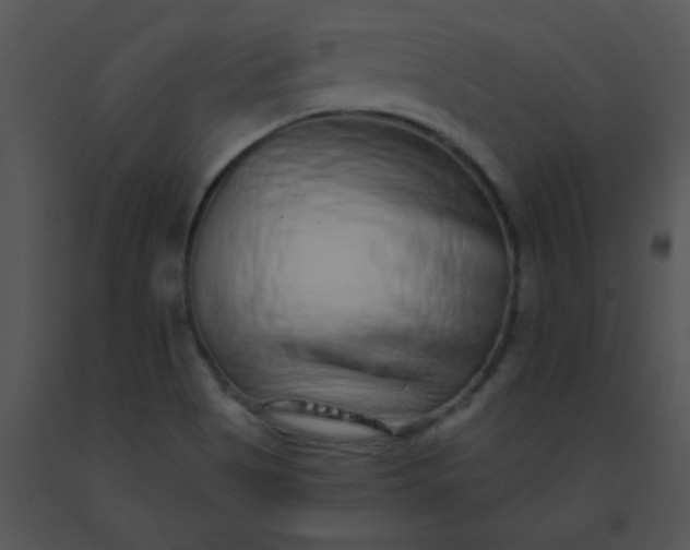 X0000091561513200708311404