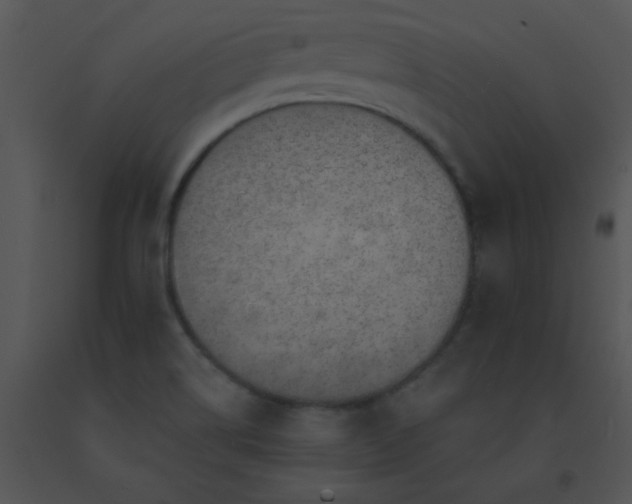 X0000091561514200708311404