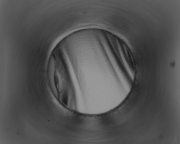 X0000091561516200708311404