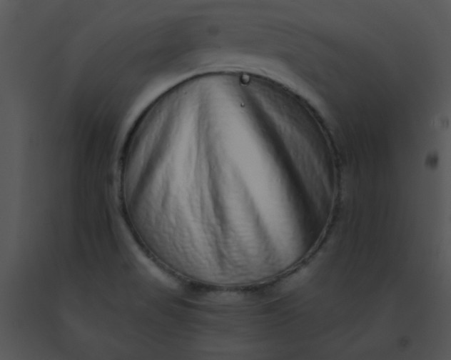 X0000091561517200708311404