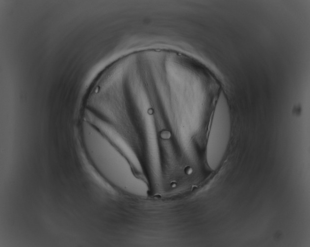 X0000091561518200708311404