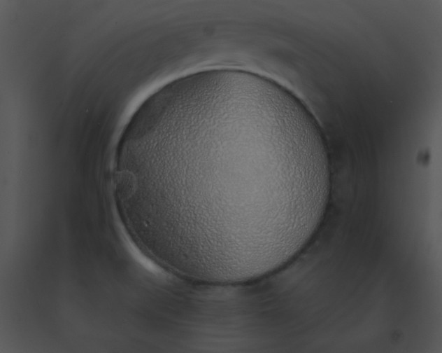 X0000091561519200708311404