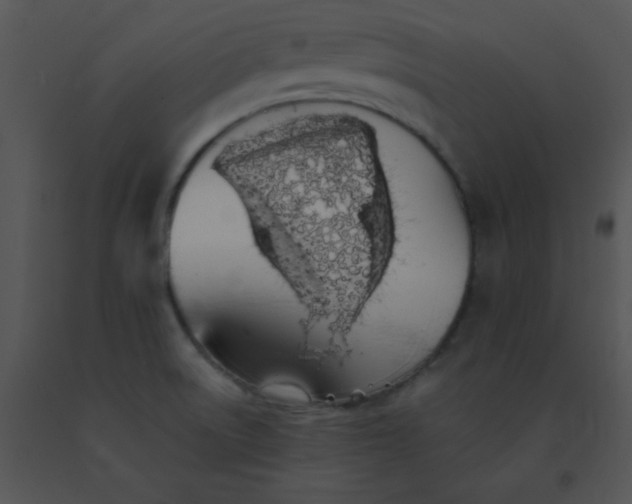 X0000091561522200708311404