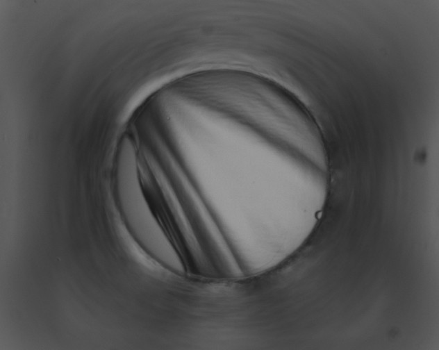 X0000091561523200708311404