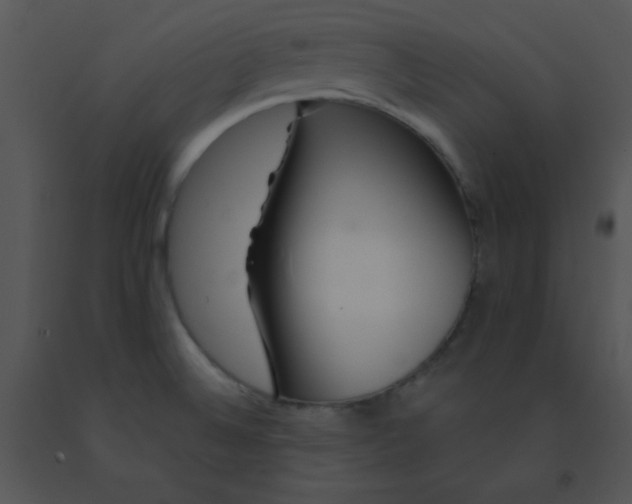 X0000091561524200708311404