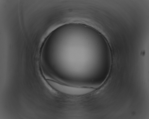 X0000091561525200708311404