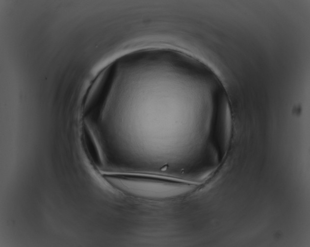 X0000091561526200708311404