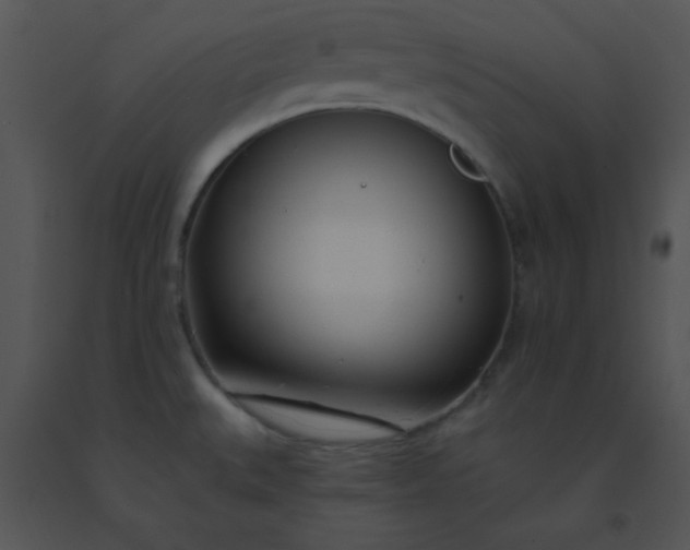 X0000091561527200708311404