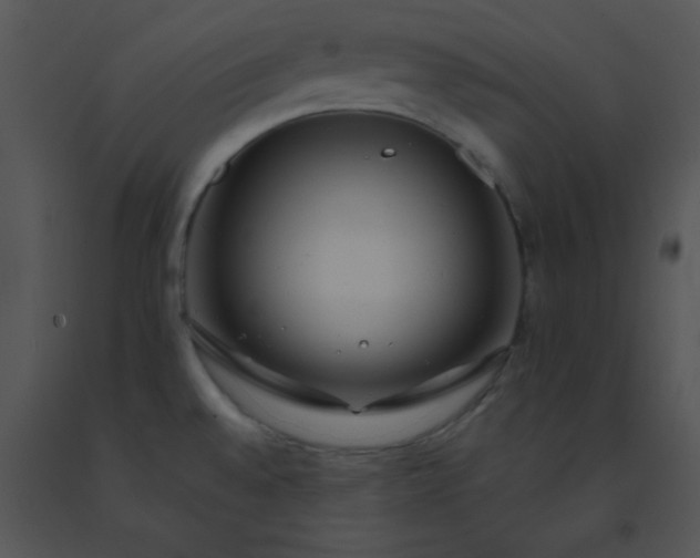 X0000091561528200708311404