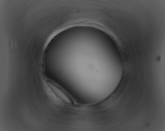 X0000091561530200708311404