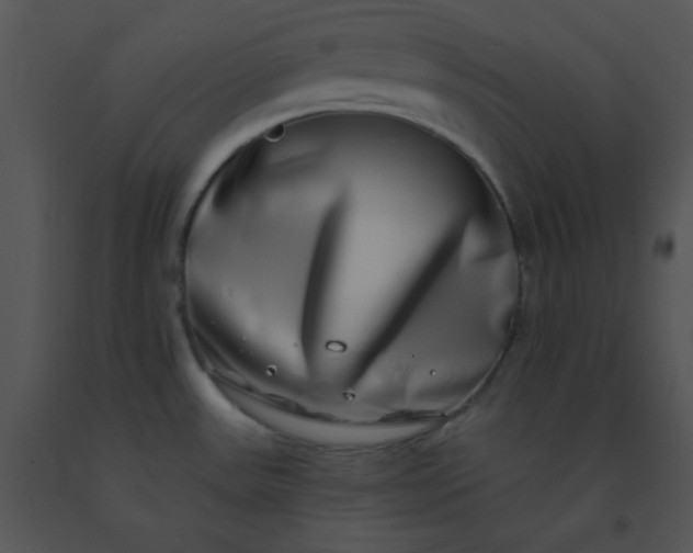 X0000091561531200708311404