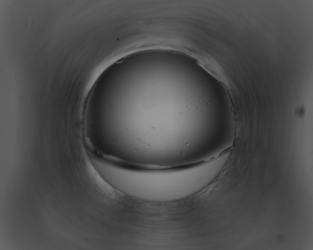 X0000091561532200708311404