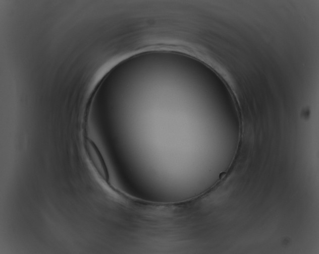 X0000091561533200708311404