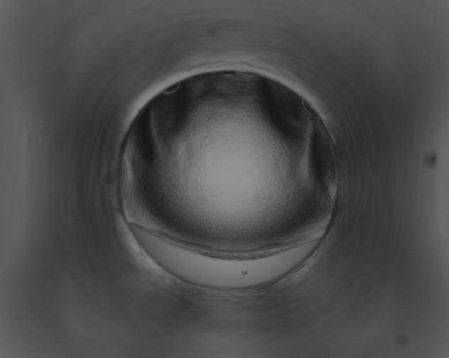 X0000091561534200708311404