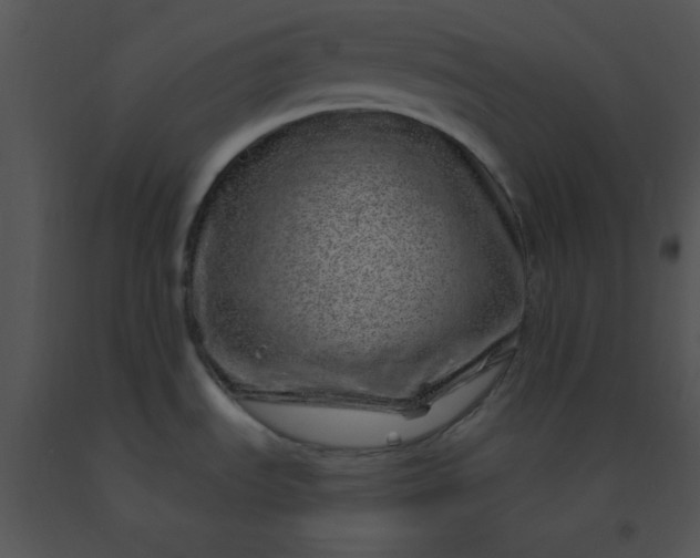 X0000091561535200708311404