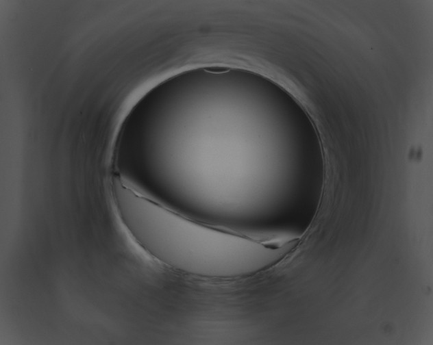 X0000091561536200708311404