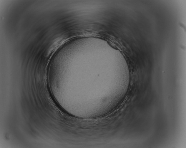 X0000091560002200709071138