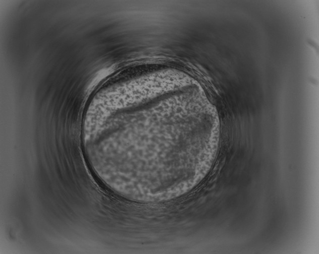 X0000091560003200709071138