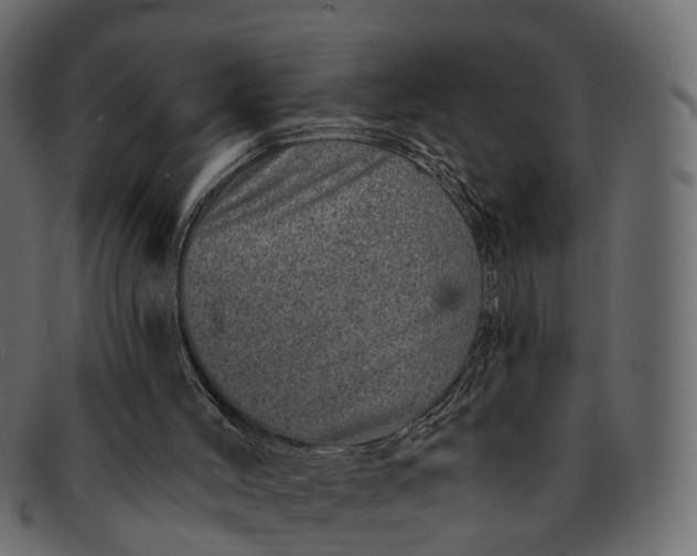 X0000091560004200709071138