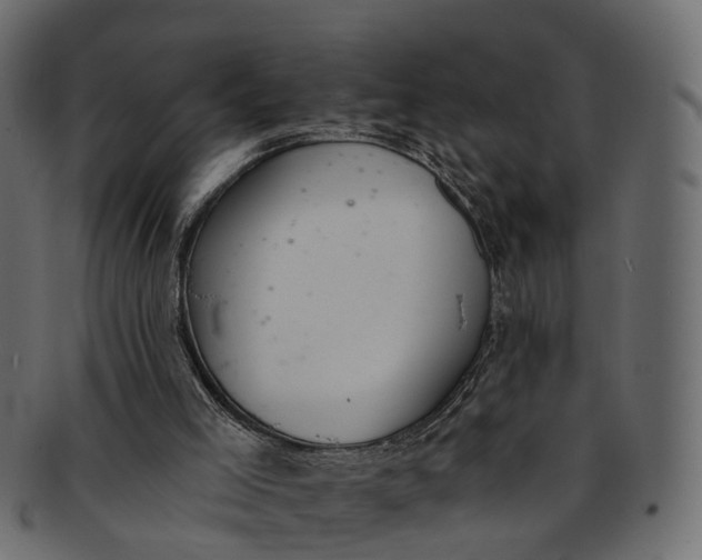 X0000091560005200709071138