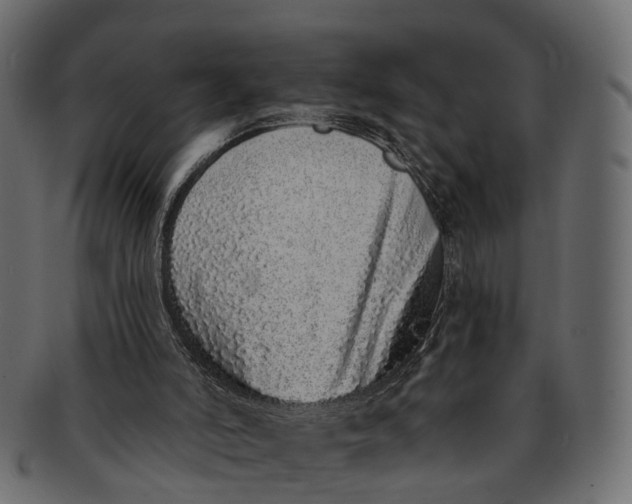 X0000091560006200709071138