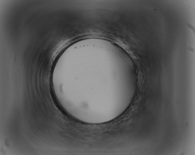 X0000091560007200709071138