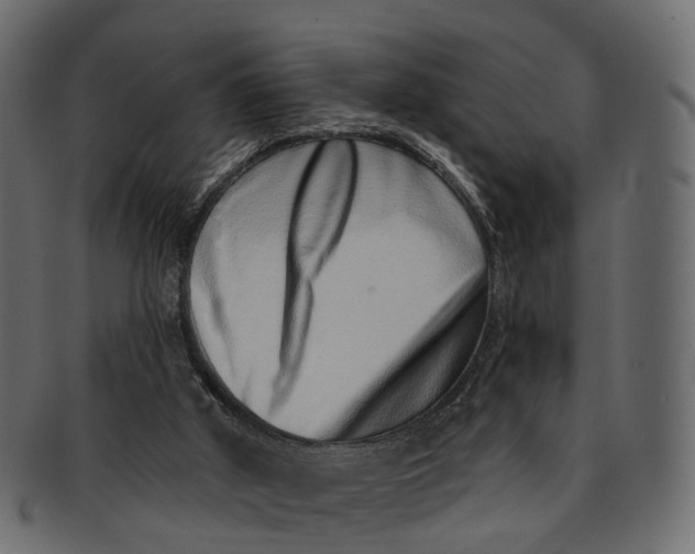 X0000091560010200709071138