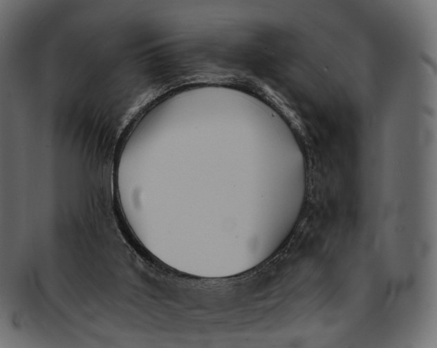 X0000091560011200709071138