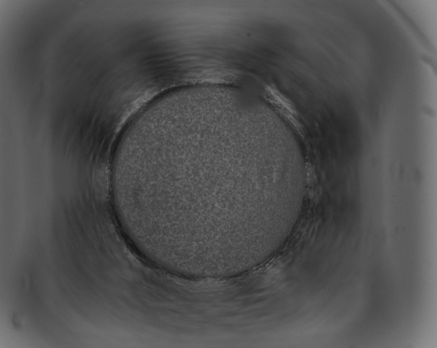 X0000091560012200709071138